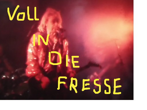 Video-VollindieFresse